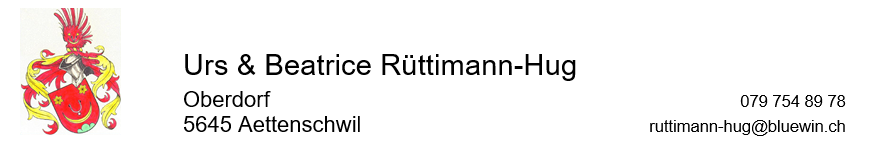 Logo ruettimannoel